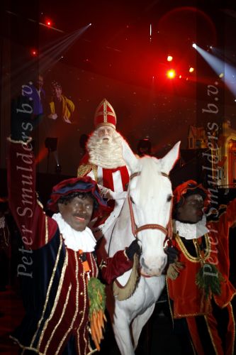Rotterdam 25 november 2007
Feest van sinterklaas in ahoy.