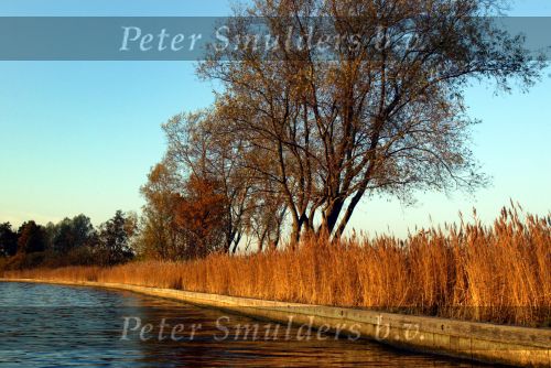 Herfst op de vinkenveense Plassen