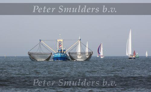 31 Juli 2008, Tussen  Harlingen en Vlieland op de Waddenzee
HA 61 van W. Toering Hendstehof 20
8861 TT Harlingen 0517-413887
E-mail: andre-saskiaÃ¯Â¿Â½hetnet.nl