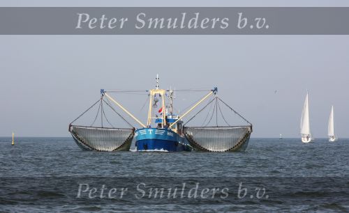 31 Juli 2008, Tussen  Harlingen en Vlieland op de Waddenzee
HA 61