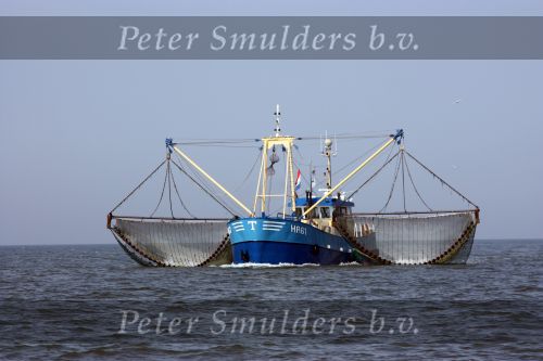 31 Juli 2008, Tussen  Harlingen en Vlieland op de Waddenzee
HA 61 van W. Toering Hendstehof 20
8861 TT Harlingen 0517-413887
E-mail: andre-saskiaÃ¯Â¿Â½hetnet.nl