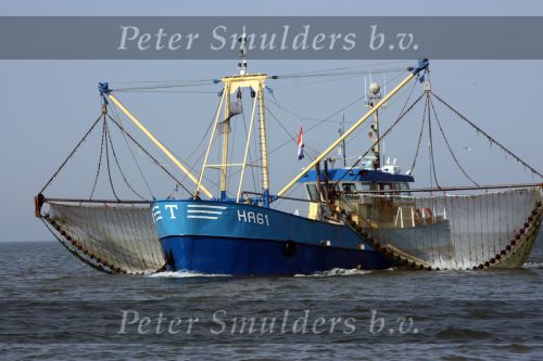 31 Juli 2008, Tussen  Harlingen en Vlieland op de Waddenzee
HA 61 van W. Toering Hendstehof 20
8861 TT Harlingen 0517-413887
E-mail: andre-saskiaÃ¯Â¿Â½hetnet.nl