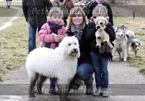 Diemen 14  februari 2009
Wandeltocht voor honden in het diemer bos. Vivian Slingerland met puck en Rebel
Peter Smulders bv