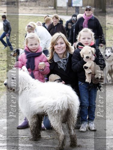 Diemen 14  februari 2009
Wandeltocht voor honden in het diemer bos. Vivian Slingerland met puck en Rebel
Peter Smulders bv