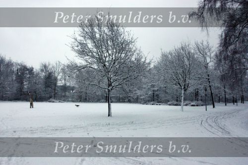 Eindhoven, 5 Januari 2009
Sneeuw en bevroren riviertjes