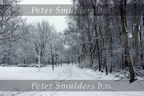 Eindhoven, 5 Januari 2009
Sneeuw en bevroren riviertjes