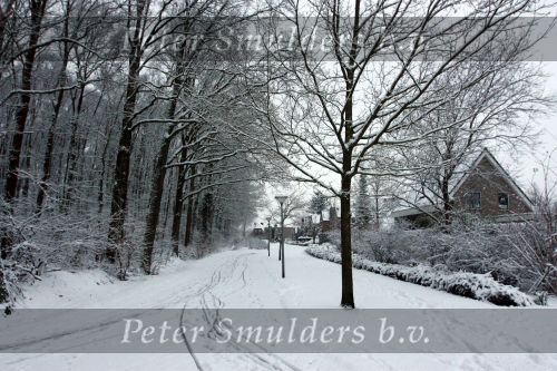 Eindhoven, 5 Januari 2009
Sneeuw en bevroren riviertjes