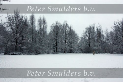 Eindhoven, 5 Januari 2009
Sneeuw en bevroren riviertjes