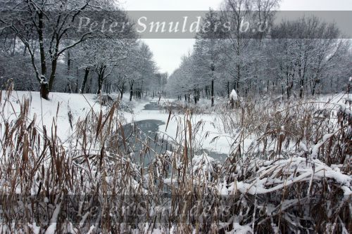 Eindhoven, 5 Januari 2009
Sneeuw en bevroren riviertjes
