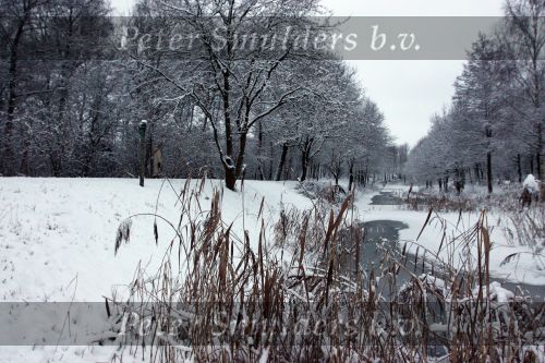 Eindhoven, 5 Januari 2009
Sneeuw en bevroren riviertjes