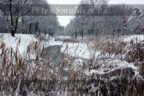 Eindhoven, 5 Januari 2009
Sneeuw en bevroren riviertjes