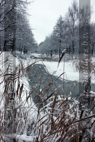 Eindhoven, 5 Januari 2009
Sneeuw en bevroren riviertjes
