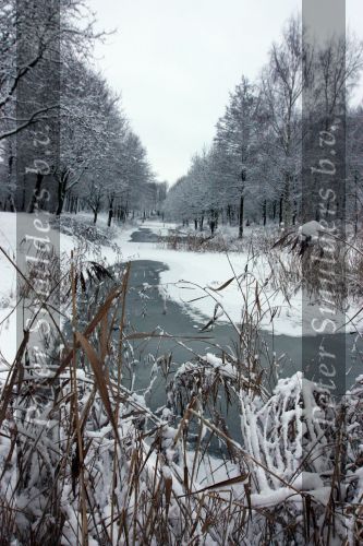 Eindhoven, 5 Januari 2009
Sneeuw en bevroren riviertjes