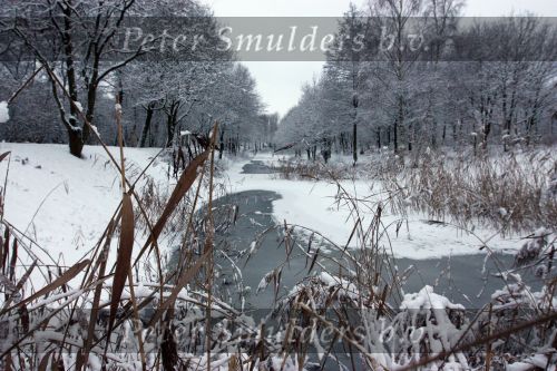 Eindhoven, 5 Januari 2009
Sneeuw en bevroren riviertjes