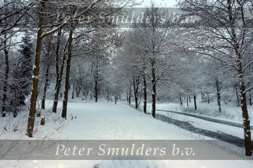Eindhoven, 5 Januari 2009
Sneeuw en bevroren riviertjes