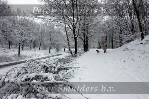 Eindhoven, 5 Januari 2009
Sneeuw en bevroren riviertjes
