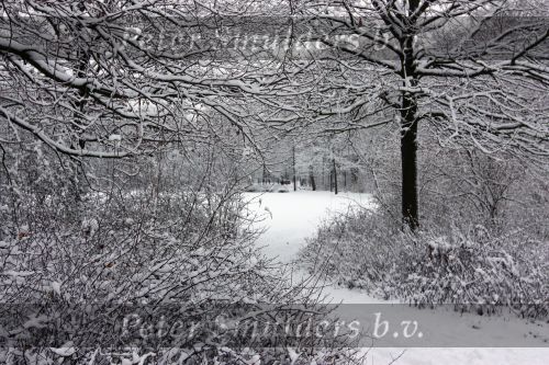 Eindhoven, 5 Januari 2009
Sneeuw en bevroren riviertjes