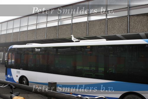 Utrecht, 8 Januari 2009
Zeemeeuw op stadsbus
Foto Peter Smulders BV