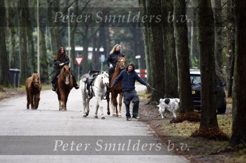 Bosch en Duin 4 december 2008
Belinda Meuldijk en Thiery Duval  op het paard rijden in de bossen bij hun huis in Bosch en duin.
Peter Smulders bv