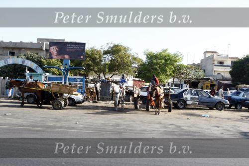 Dakar 23 maart 2008
Straatbeeld in Dakar waar de heroes legend eindigt. 
Peter Smulders bv