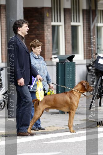 Amsterdam 11 september 2007
Edwin de Roy v Zuijdewijn met zijn hond wandelend op straat.