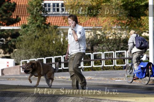 Amsterdam 14 oktober 2008
Gijs Staverman met gsm en hond op straat in amsterdam
Peter Smulders bv