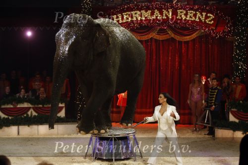 Den Bosch 19  november 2008
Kerstcircus rtl gepresenteerd door Wendy v Dijk en Beau v Erven Dorens.  Lieke v Lexmond doet act met olifant
Peter Smulders bv