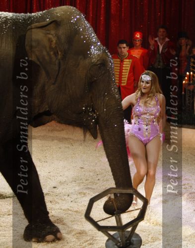 Den Bosch 19  november 2008
Kerstcircus rtl gepresenteerd door Wendy v Dijk en Beau v Erven Dorens.  Lieke v Lexmond doet act met olifant
Peter Smulders bv