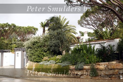 Vale do Lobo 24 februari 2008
Linda de Mol golfend met haar nieuwe vriend Jeroen Rietbergen op vale do lobo  waar Linda een huis heeft.