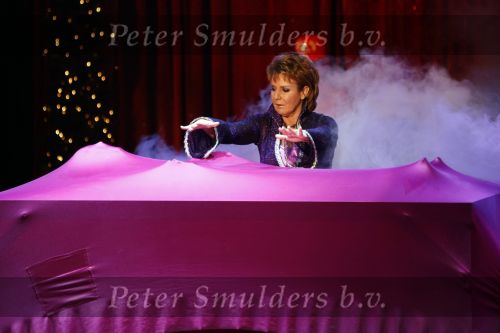 Den Bosch 19  november 2008
Kerstcircus rtl gepresenteerd door Wendy v Dijk en Beua v Erven Dorens. Frans Bauer doet act met Marianne Weber. Mariska is zwanger en was er met de kinderen Frans Christiaan en Jan.
Peter Smulders bv