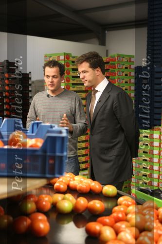 Bleiswijk, 17 November 2008
Bezoek Mark Rutte aan tomatenkwekerij van den bosch BV
Op de foto Mark Rutte met Rik van den Bosch
Foto Peter Smulders BV