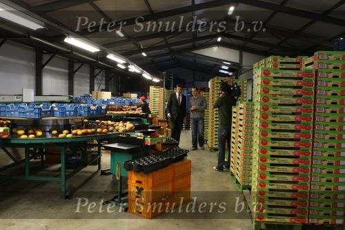 Bleiswijk, 17 November 2008
Bezoek Mark Rutte aan tomatenkwekerij van den bosch BV
Inpakafdeling van tomaten
Foto Peter Smulders BV