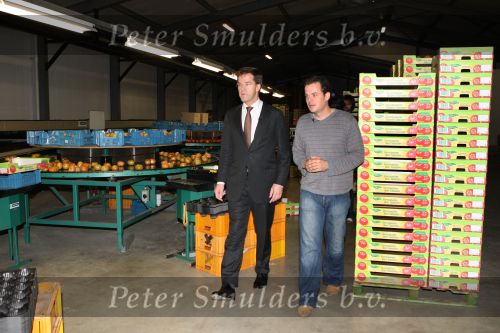 Bleiswijk, 17 November 2008
Bezoek Mark Rutte aan tomatenkwekerij van den bosch BV
Op de foto Mark Rutte met Rik van den Bosch
Foto Peter Smulders BV