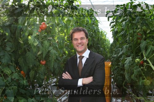 Bleiswijk, 17 November 2008
Bezoek Mark Rutte aan tomatenkwekerij van den bosch BV
Op de foto Mark Rutte met Rik van den Bosch
Foto Peter Smulders BV