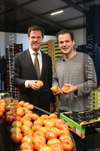 Bleiswijk, 17 November 2008
Bezoek Mark Rutte aan tomatenkwekerij van den bosch BV
Op de foto Mark Rutte met Rik van den Bosch
Foto Peter Smulders BV