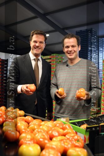 Bleiswijk, 17 November 2008
Bezoek Mark Rutte aan tomatenkwekerij van den bosch BV
Op de foto Mark Rutte met Rik van den Bosch
Foto Peter Smulders BV