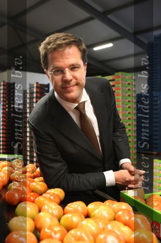 Bleiswijk, 17 November 2008
Bezoek Mark Rutte aan tomatenkwekerij van den bosch BV
Op de foto Mark Rutte met Rik van den Bosch
Foto Peter Smulders BV