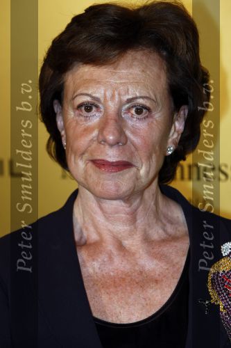 Amsterdam 13 november 2008
 Neelie Kroes bij prix de la mode in stedelijk museum.
Peter Smulders bv