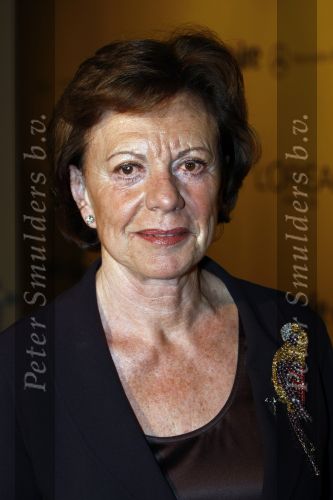 Amsterdam 13 november 2008
 Neelie Kroes bij prix de la mode in stedelijk museum.
Peter Smulders bv