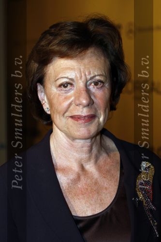Amsterdam 13 november 2008
 Neelie Kroes bij prix de la mode in stedelijk museum.
Peter Smulders bv