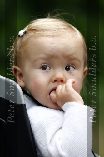 Wassenaar 11 juli 2008
Foto uurtje met prinses Maxima Prins Willem Alexander  en hun dochters Prinses Amalia Prinses Alexia en Prinses Ariane . 
Ze komen aanrijden in bakfiets.