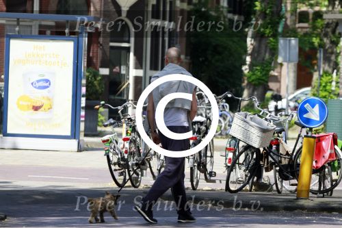 Amsterdam 11 mei 2011
Lange Frans met zijnz zwangere vrouw Danielle en zijn zoontje.
Peter Smulders bv