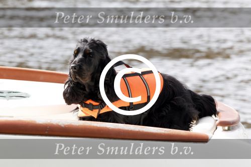 Breukelen 13 mei 2012
Jurgen Smit en Milika Peterzon weer helemaal verliefd op hun boot met de hond aan het varen.
Peter Smulders bv