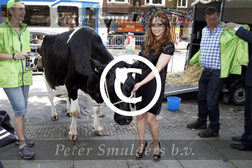 Amsterdam 23 mei 2012
Tatjana melkt een koe  tijdens een reclame stunt van campina.
Peter Smulders bv