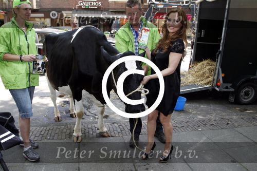 Amsterdam 23 mei 2012
Tatjana melkt een koe  tijdens een reclame stunt van campina.
Peter Smulders bv