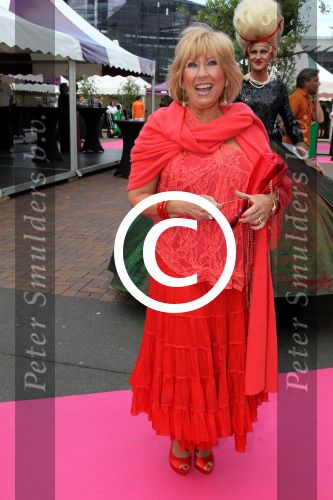 Amsterdam 2 juni 2012
Amsterdam diner in Heineken Music Hall HMH . Willeke Alberti
Peter Smulders bv