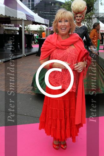 Amsterdam 2 juni 2012
Amsterdam diner in Heineken Music Hall HMH . Willeke Alberti
Peter Smulders bv
