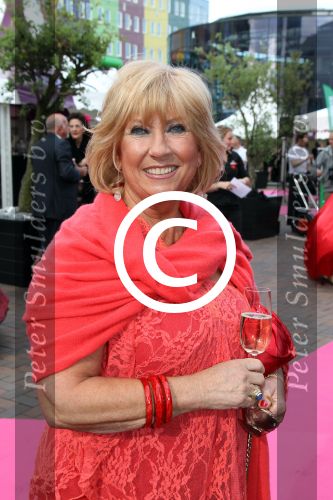 Amsterdam 2 juni 2012
Amsterdam diner in Heineken Music Hall HMH . Willeke Alberti
Peter Smulders bv