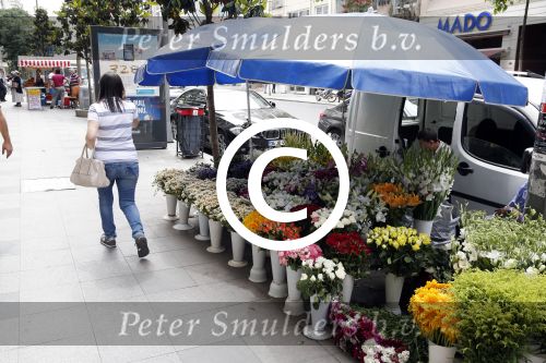 Istanbul 20 en 22 mei 2013
Diverse gebouwen en populaire winkels in Istanbul.
Peter Smulders bv