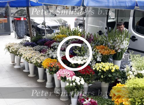 Istanbul 20 en 22 mei 2013
Diverse gebouwen en populaire winkels in Istanbul.
Peter Smulders bv